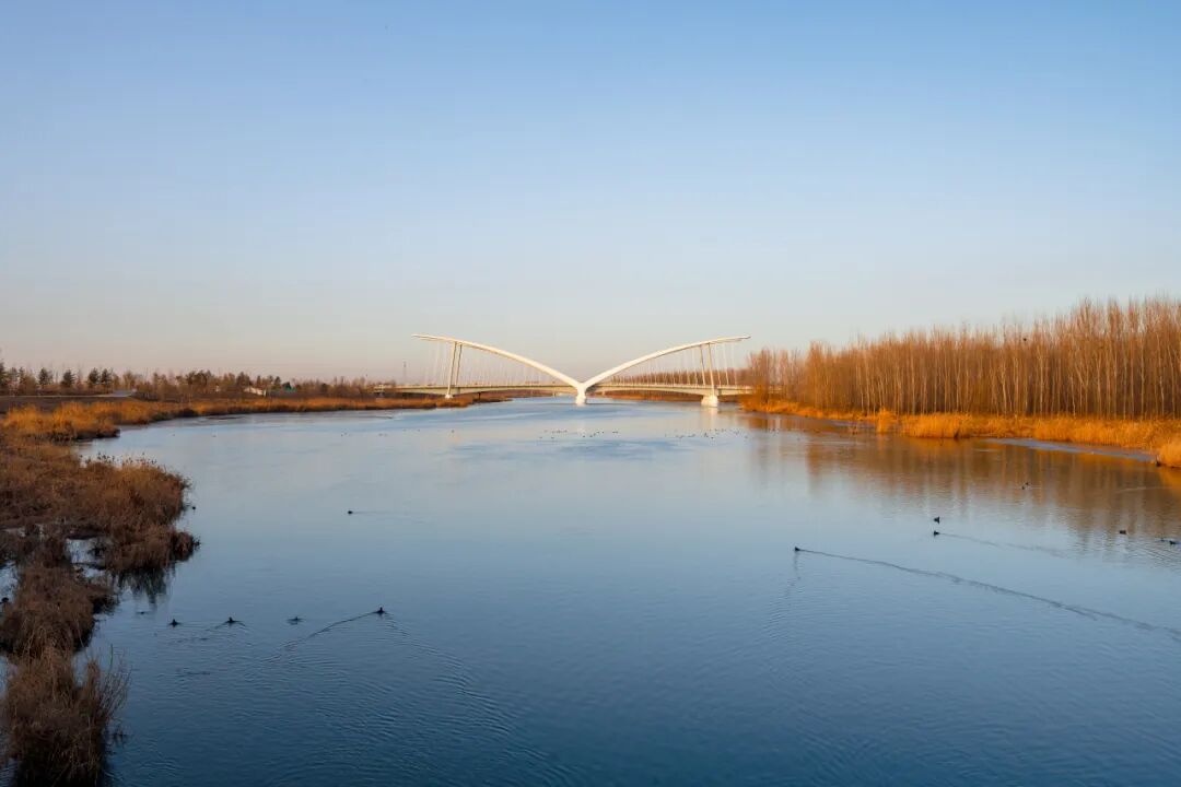 bc544db2f24264ce4272bccbbbdea0c9 bc544db2f24264ce4272bccbbbdea0c9