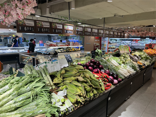 Z6·尊龙凯时「中国」官方网站