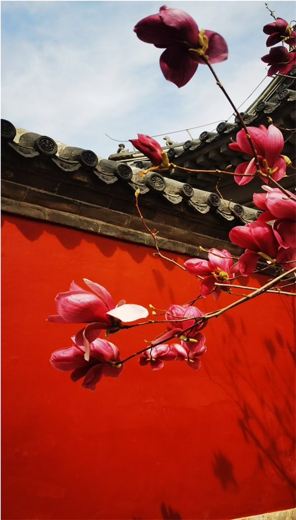 Z6·尊龙凯时「中国」官方网站