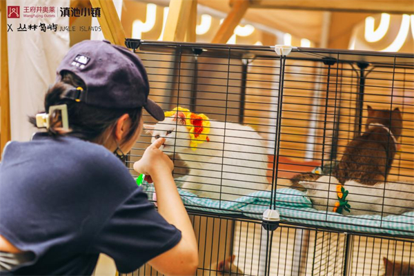 Z6·尊龙凯时「中国」官方网站