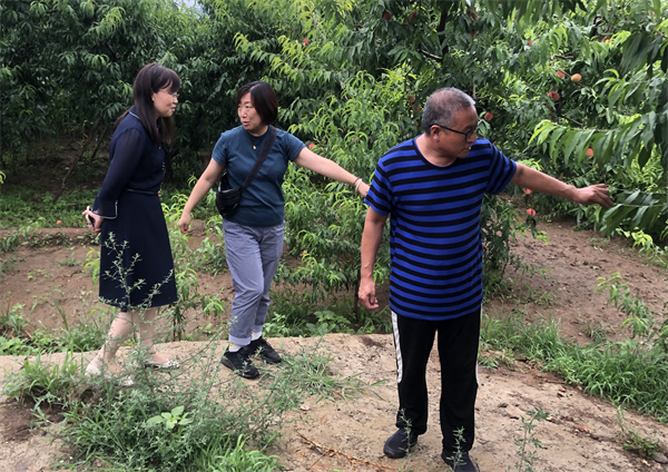 Z6·尊龙凯时「中国」官方网站